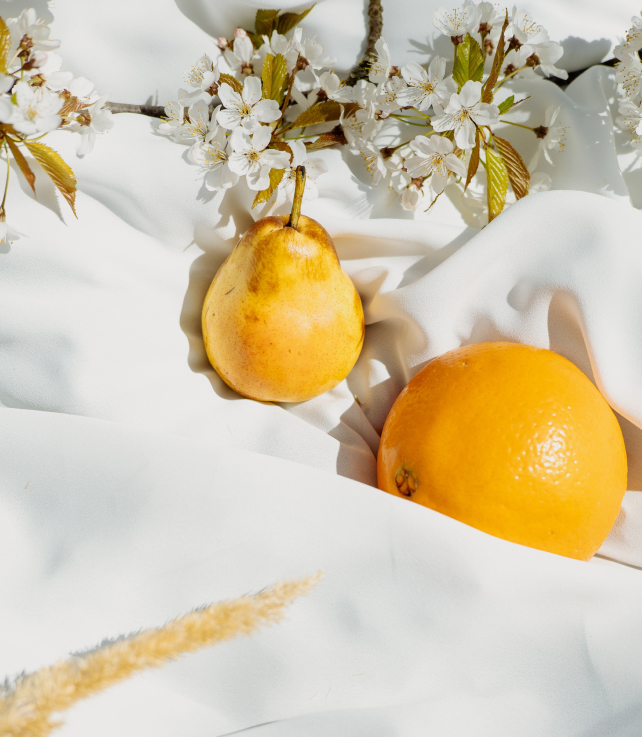 photographer image 1.jpg