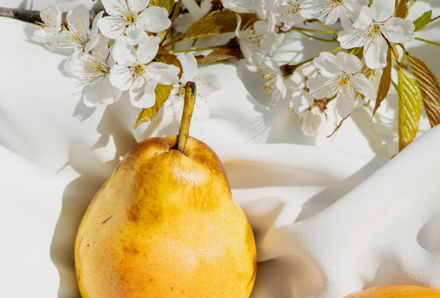 photographer image 6.jpg